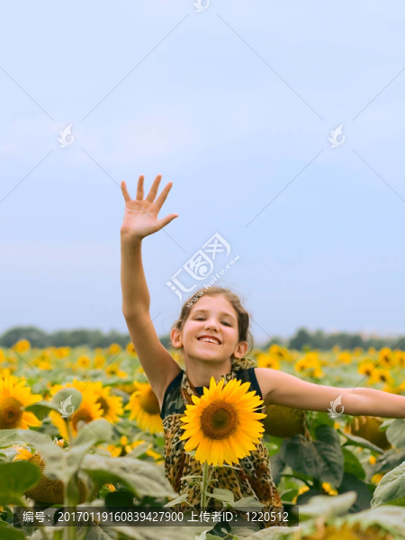 美女少女與向日葵