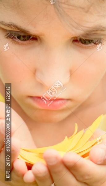 美女少女和花瓣