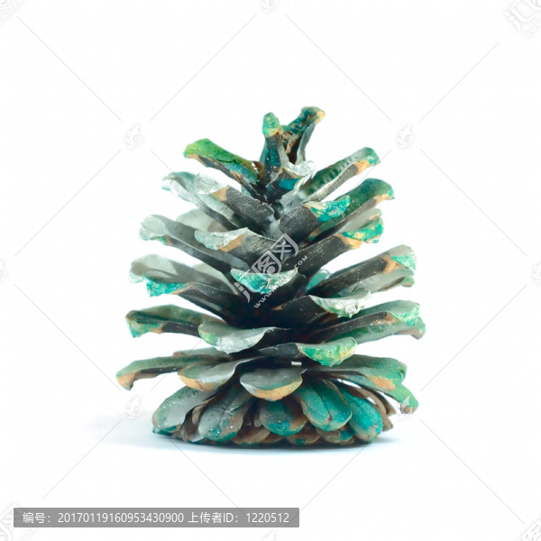 裝飾對象-新年木P