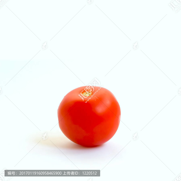 藍色番茄
