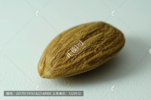 杏仁的宏