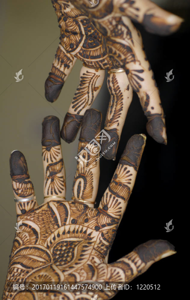 Henna,Tattoo的手