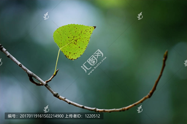 孤獨(dú)的離開