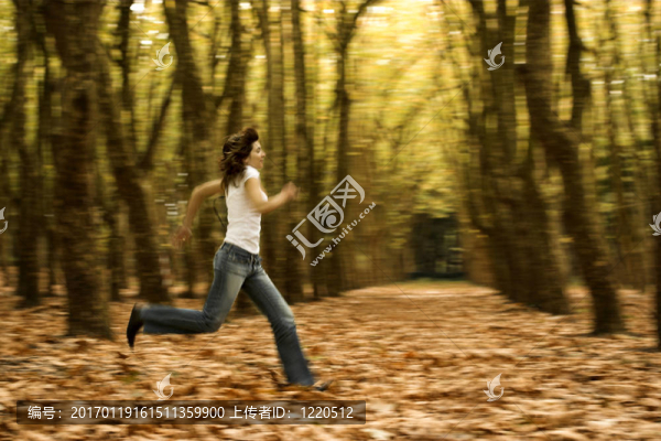 運(yùn)行-匯圖網(wǎng) www.fosd68.com 運(yùn)行