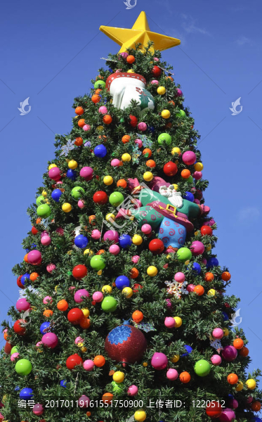 圣誕樹(shù)-匯圖網(wǎng) www.fosd68.com 圣誕樹(shù)