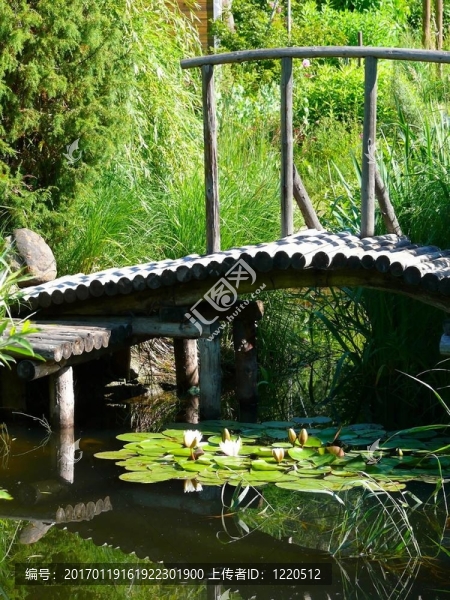 木橋。池塘。