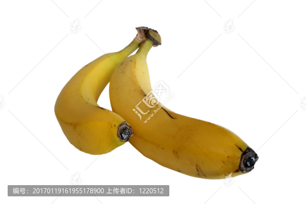 兩根香蕉