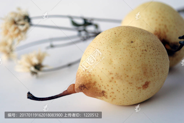 梨果實(shí)