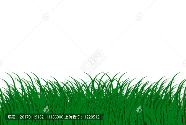 綠色的草