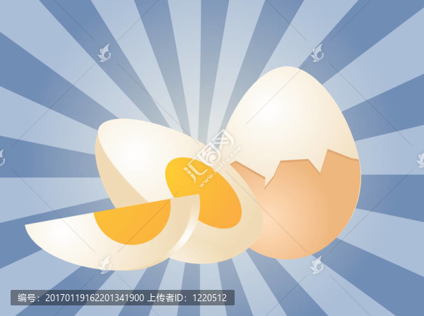 雞蛋插畫