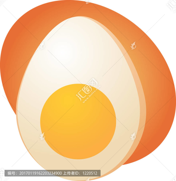 雞蛋插畫