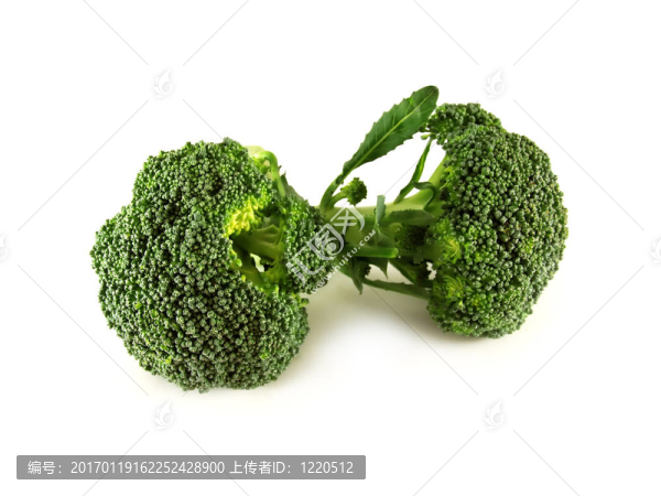 西蘭花