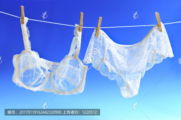 女士內(nèi)衣