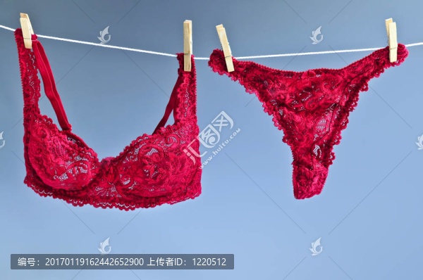 女士?jī)?nèi)衣