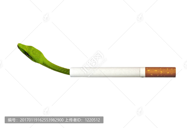 煙毒和蝮蛇毒