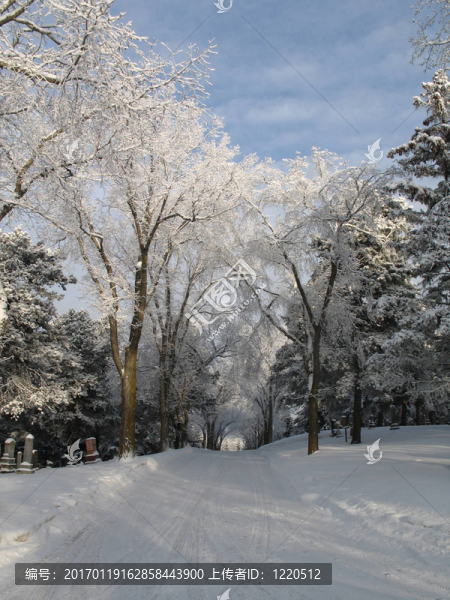 下雪路
