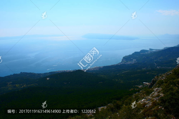 海