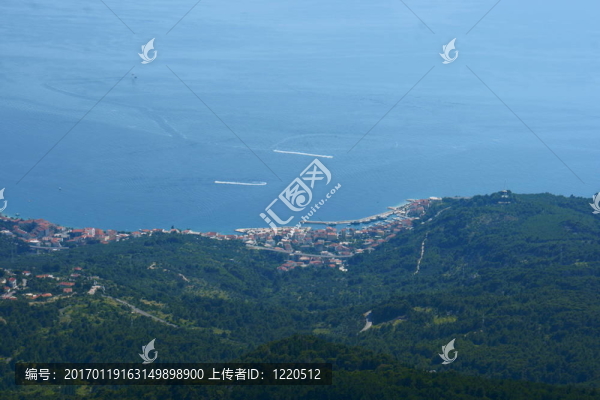 海