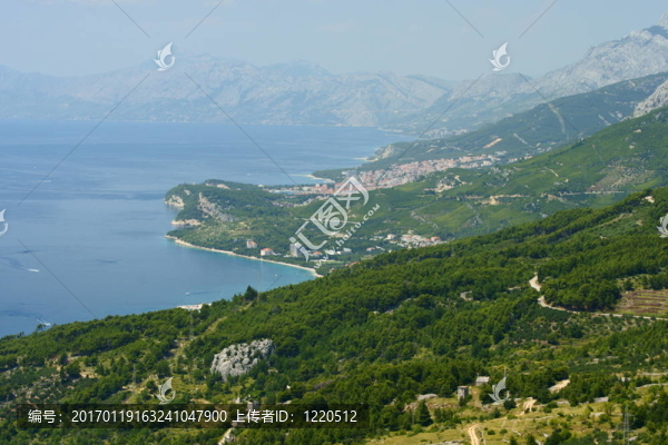 海