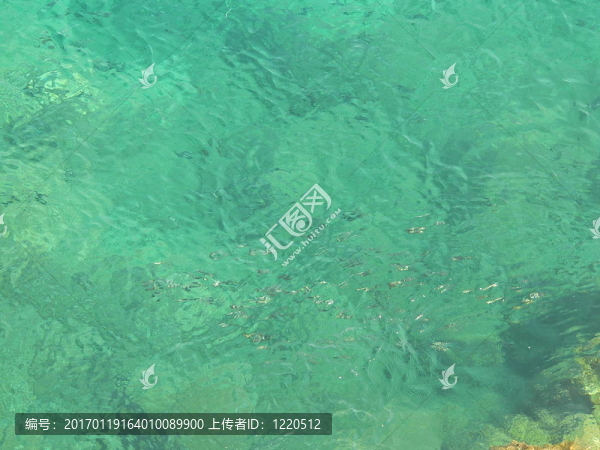 綠色的海水