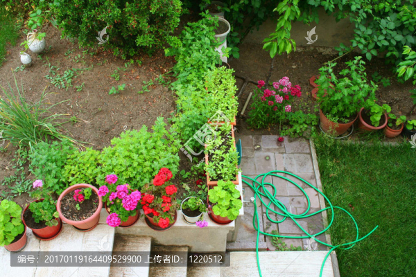 充滿鮮花的花園