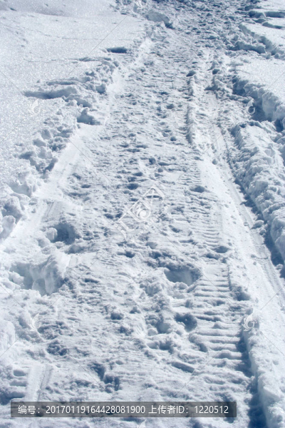 軌道上的雪