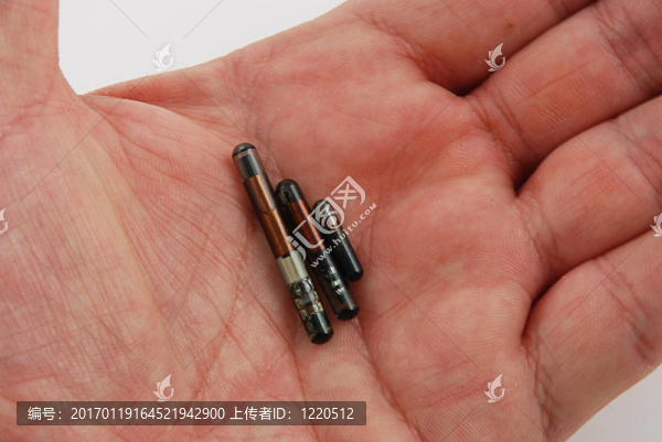 射頻識別標簽