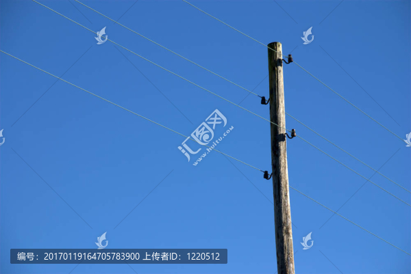 舊電線桿