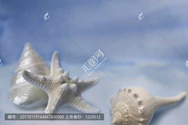 貝殼和藍(lán)色水彩手繪背景星的魚(yú)。專(zhuān)業(yè)的斑點(diǎn)和修飾。