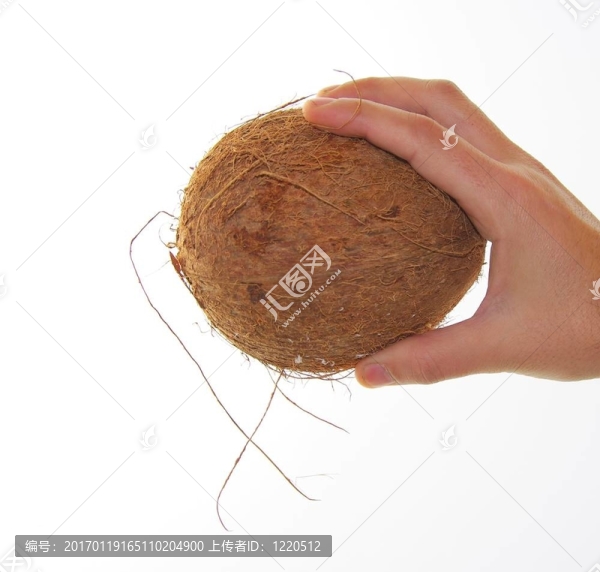 用白色背景抓椰子的手