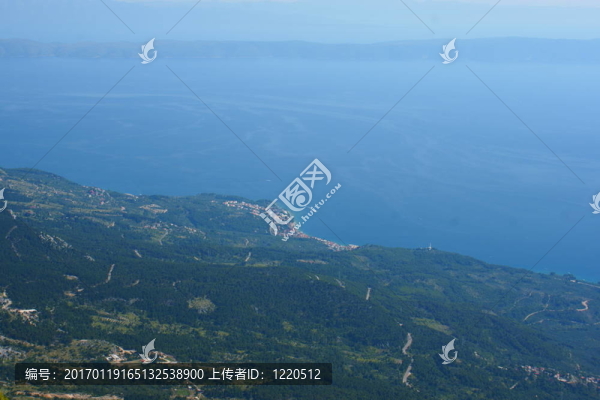 海