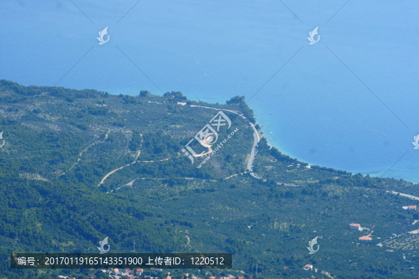 海