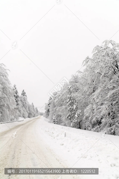 雪中交通路