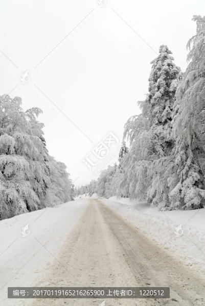雪中交通路