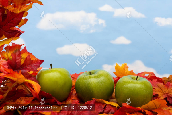 秋天的場(chǎng)景