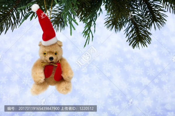 圣誕熊