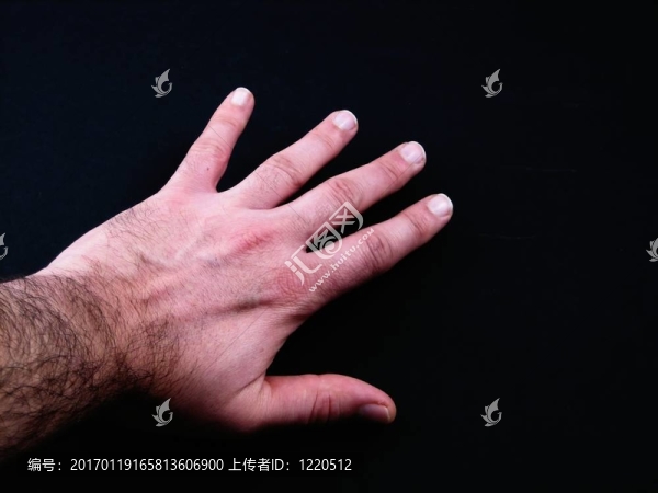 手的符號