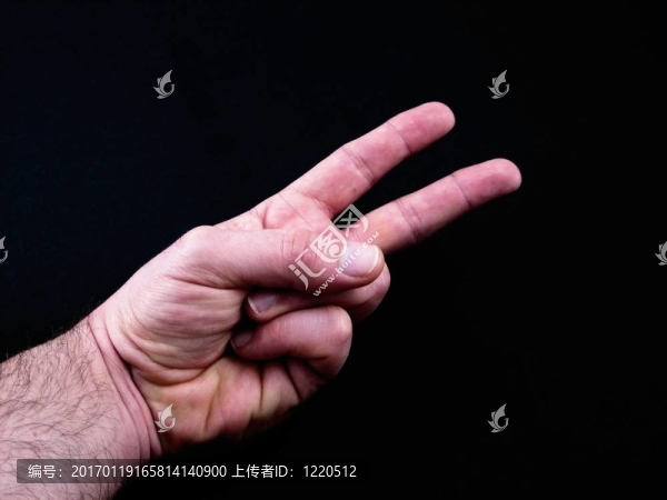 手的符號