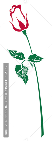 單一的紅玫瑰