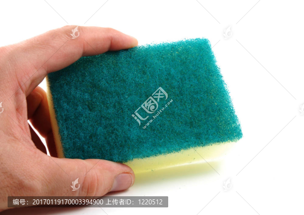 海綿-匯圖網(wǎng) www.fosd68.com 海綿