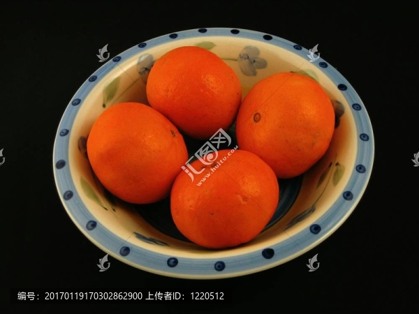 營養(yǎng)食品和水果