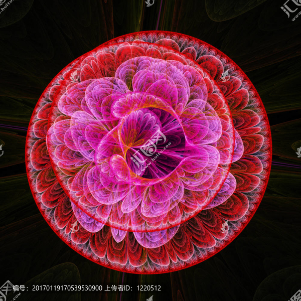 花輪