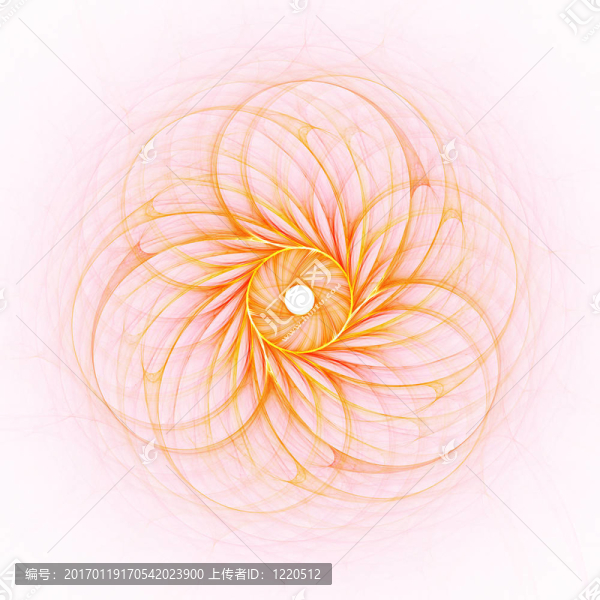 花型圖案的光線