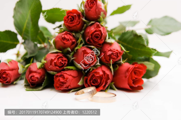 紅玫瑰與分離