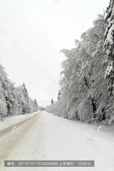 雪中交通路