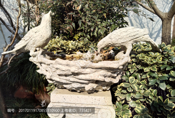 鳥(niǎo)