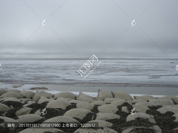 北極景觀