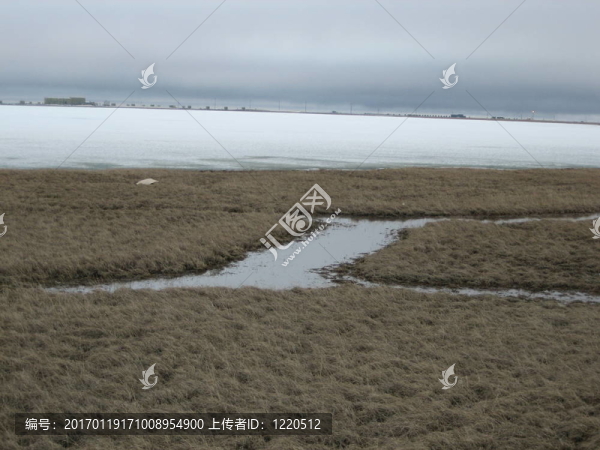 北極景觀
