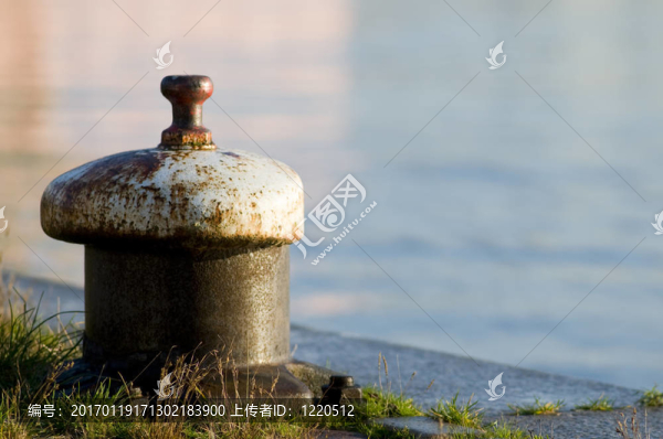 海豚