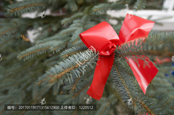 圣誕樹上的紅蝴蝶結(jié)